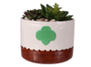 Girl Scout Planter