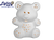 Light Up Toy Bear