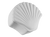 Seashell Box