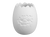 Dragon Egg Cup