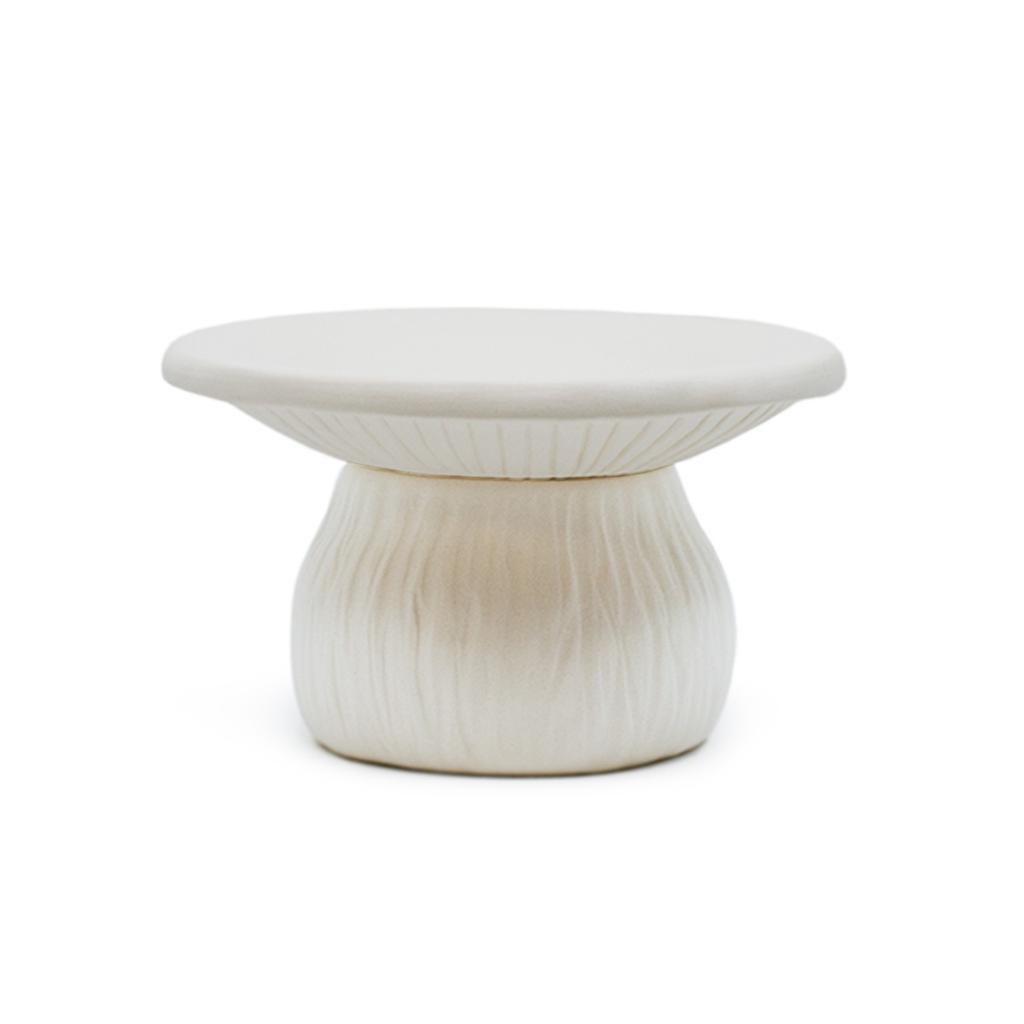 *Mushroom Box