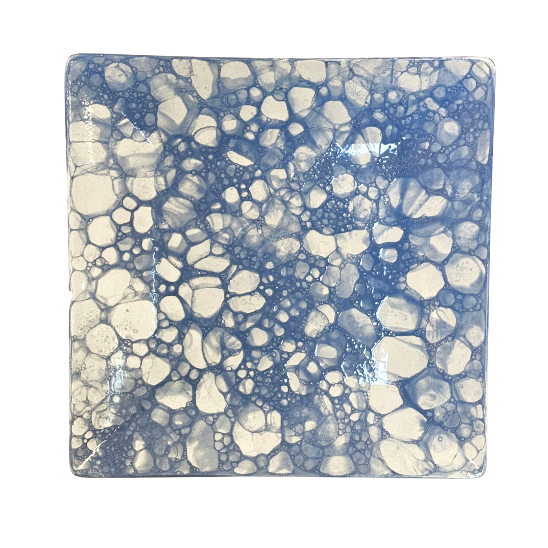 🍽️ ☕️ 🦞 Sq Coupe Dinner Plate