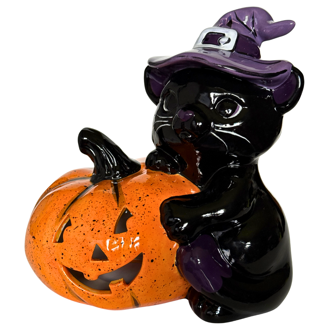 👻 Cat With Jack-O-Lantern